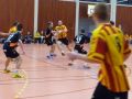 090131_p16m_aix_08