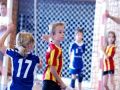 120610_minihand_15