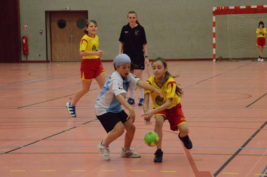 Photographies du Plateau M12F Cluses vs Taninges vs Thonon du samedi 24 Novembre 2012
