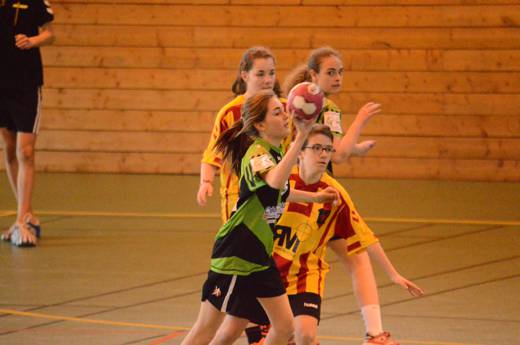 Match M14F Cluses vs Annecy le vieux du samedi 6 avril 2013