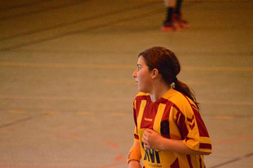Match M14F Cluses vs Annecy le vieux du samedi 6 avril 2013