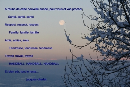 Vœux 2009 de la ligue