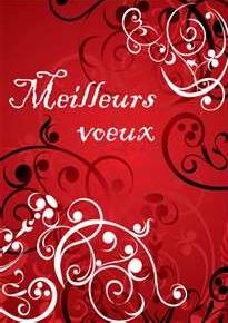 Vœux 2012 du HBC La Fillière