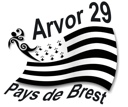 Logo de la Ligue Féminine de Handball