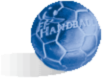 Ballon FFHB
